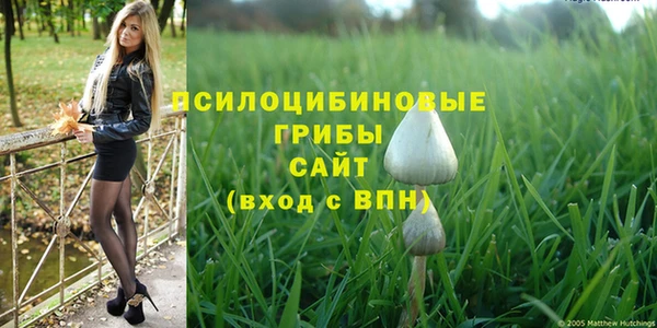 PSILOCYBIN Вяземский